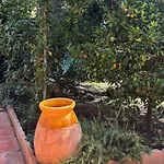 Rez-de-jardin De 5 Pieces