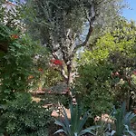 Rez-de-jardin De 5 Pieces شقة