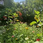 Rez-de-jardin De 5 Pieces لو كانيت