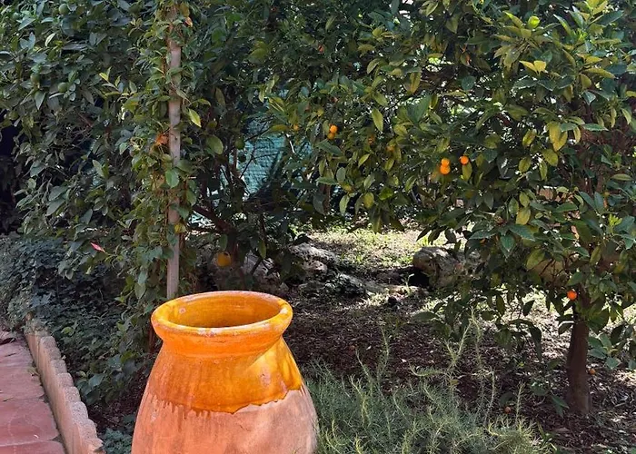 Rez-de-jardin De 5 Pieces