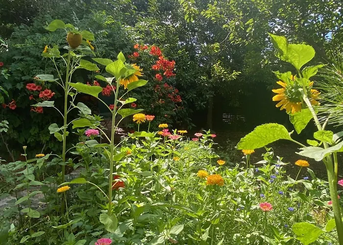 Rez-de-jardin De 5 Pieces Ле-Канне